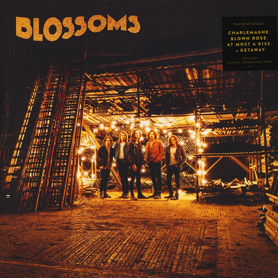 Viniluri - Blossoms - Blossoms