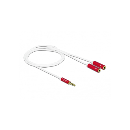 Accesorii - Cablu adaptor jack 3.5mm TRRS la 2 x jack mama 3.5mm 1M