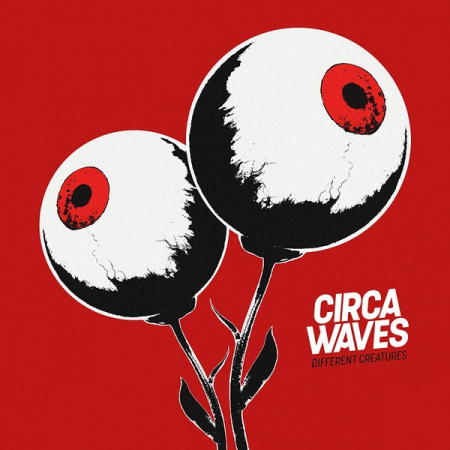 Viniluri - Circa Waves - Different Creatures