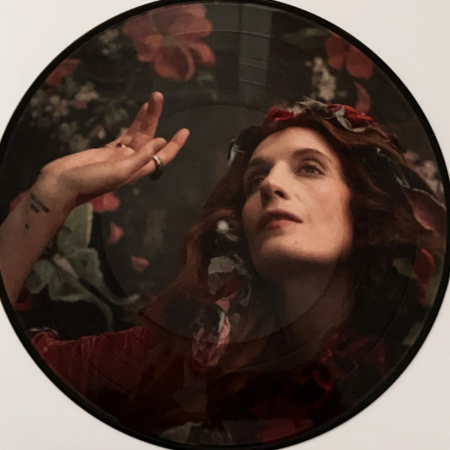 Florence + The Machine - Dance Fever (picture disc) [5]