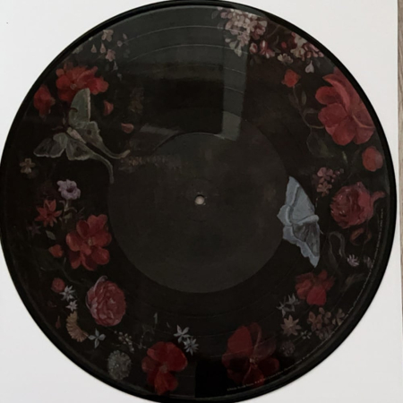 Florence + The Machine - Dance Fever (picture disc) [4]