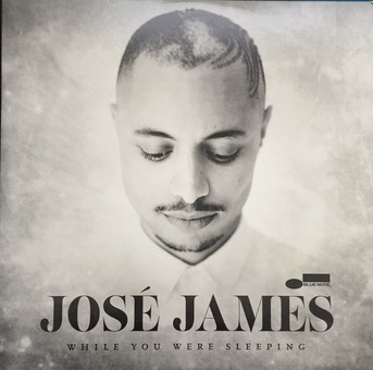 Viniluri - José James - While You Were Sleeping