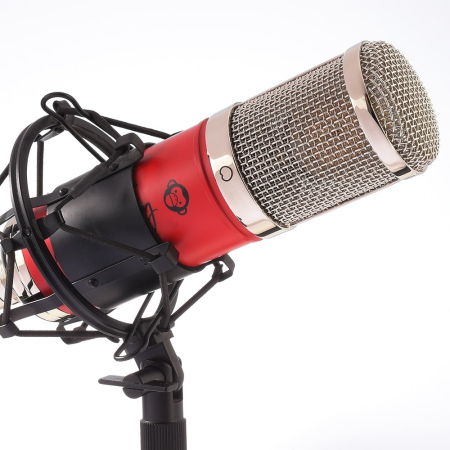 Monkey Banana Mangabey Red (resigilat) [7]