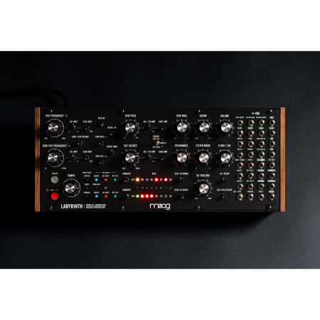 Moog Labyrinth [4]