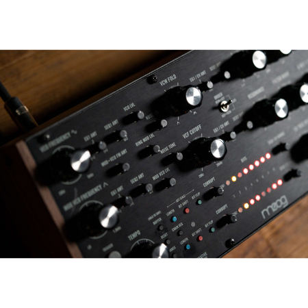 Moog Labyrinth [2]