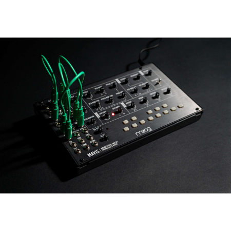 Moog Mavis (resigilat) [3]