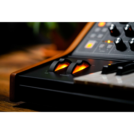 Moog Subsequent 25 [1]