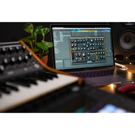 Moog Subsequent 25 [2]