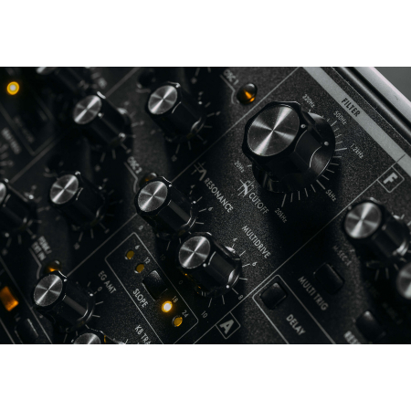 Moog Subsequent 37 [5]
