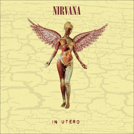 Viniluri - Nirvana - In Utero (30th Anniversary Edition)