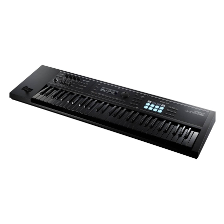 Roland Juno DS61B [2]