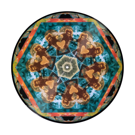Serato Control Gaslamp Killer (Pair) [1]