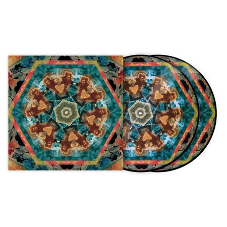 Timecode / Control Vinyl - Serato Control Gaslamp Killer (Pair)