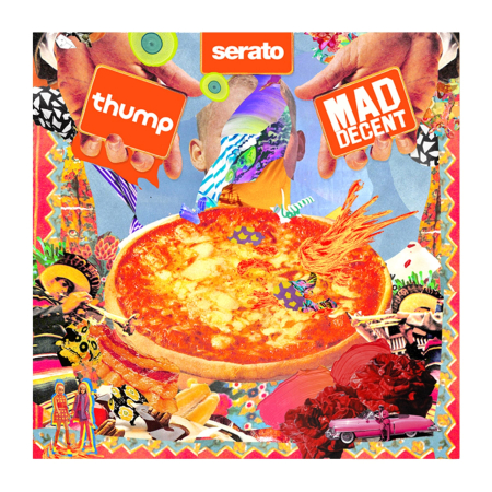 Serato Control Mad Decent (Pair) [3]