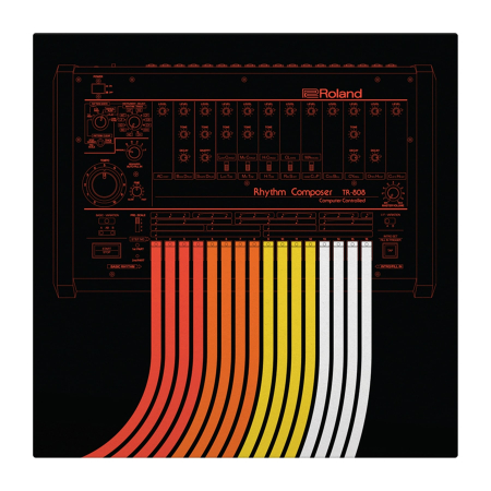 Serato x Roland 808 Control Vinyl (Pair) [2]