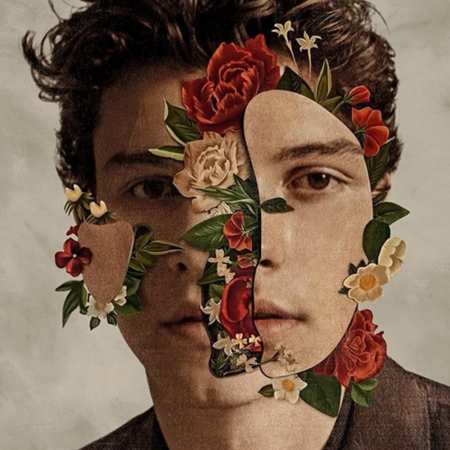 Pop - Shawn Mendes - Shawn Mendes