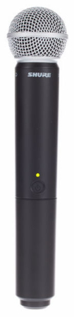 Shure BLX24RE / SM58 [9]