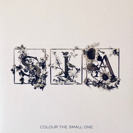 Viniluri - Sia - Colour The Small One