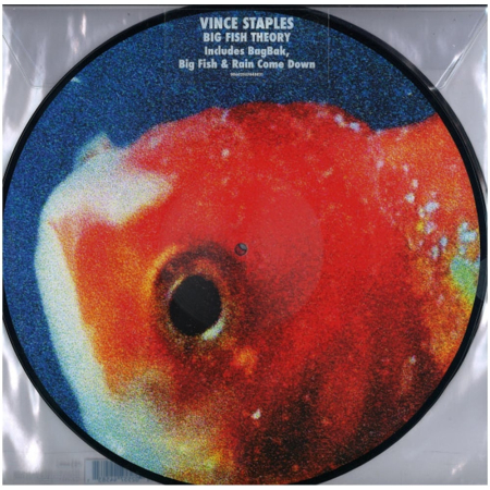 Hip Hop - Vince Staples - Big Fish Theory (Picture Disc)