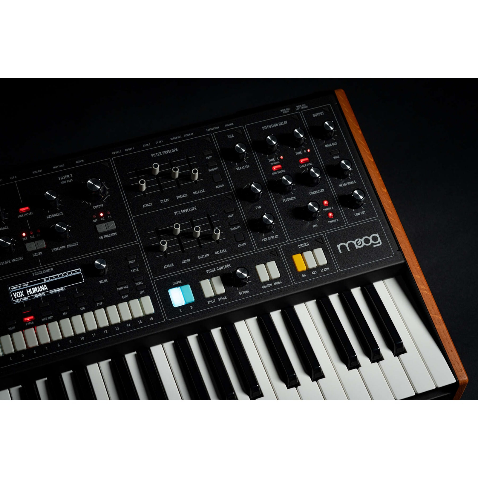 Moog Muse la 16.267,90 RON | DjSuperStore