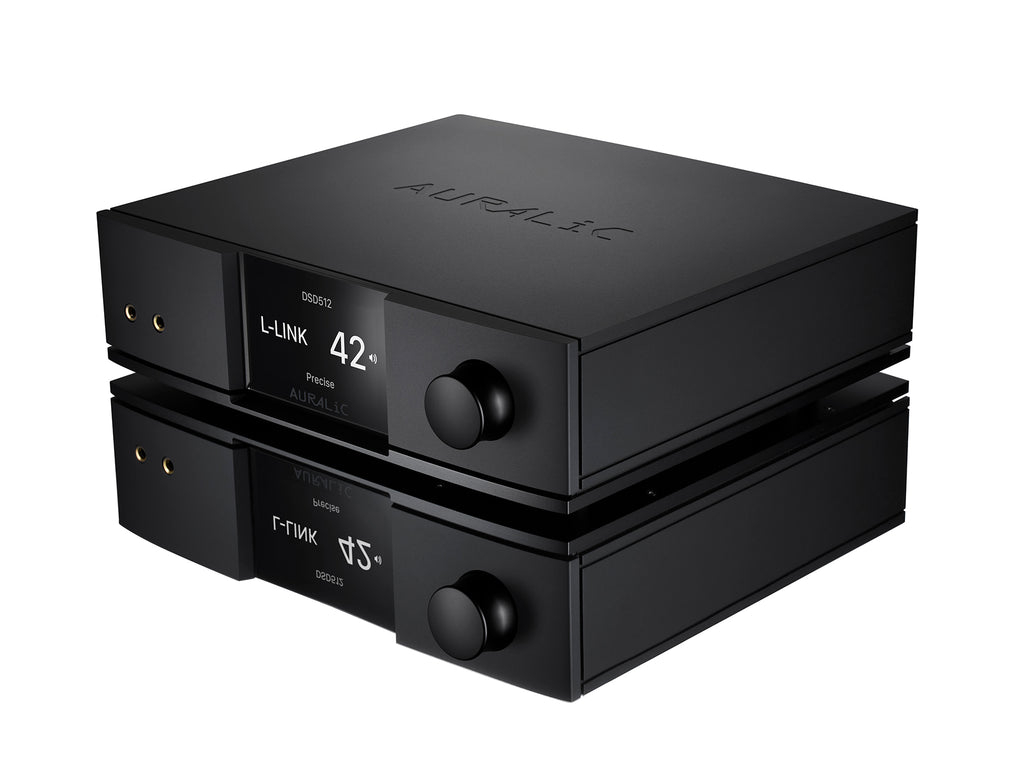 AURALIC VEGA G2.1 [3]