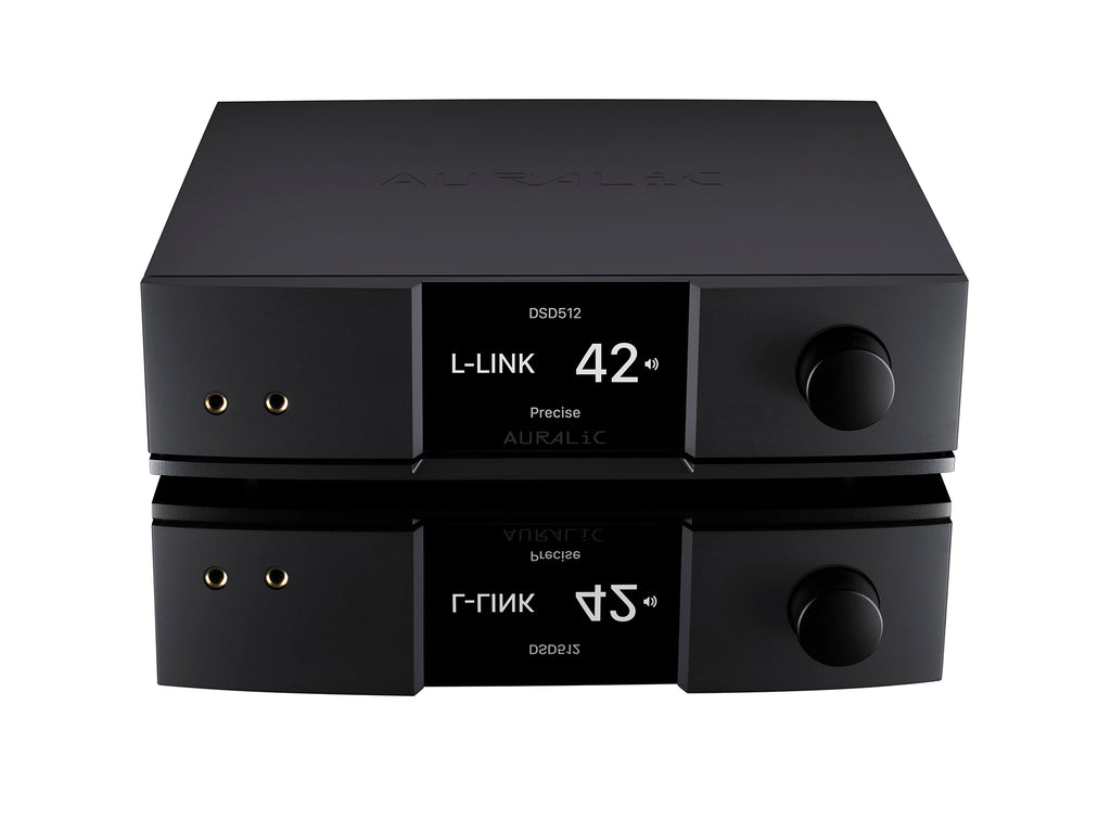 AURALIC VEGA G2.1 [4]
