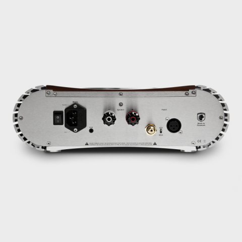 Amplificator de putere monobloc Gato Audio PWR-222 [4]