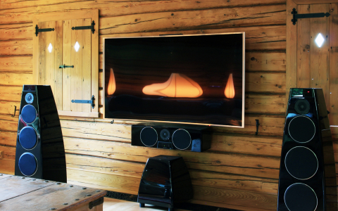 Sisteme Hi-Fi cu boxe amplificate - MERIDIAN AUDIO DSW.2