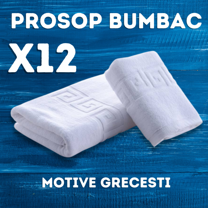 SET 12 PROSOAPE DE BUMBAC 50X90 - MOTIV GRECESC - GROSIME 450GR. - ALBE [1]