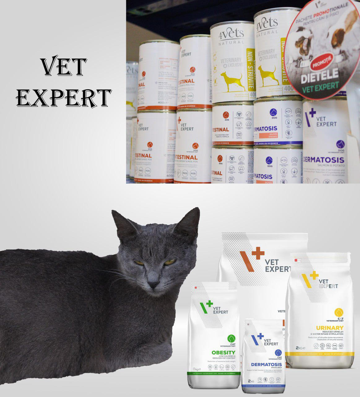 Vet Expert – nutriție profesională pentru sănătatea animalelor de companie