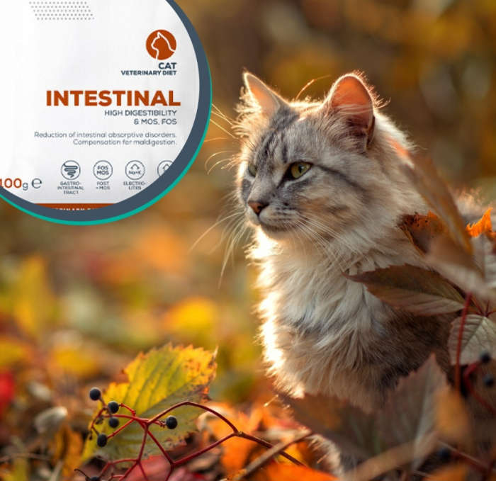 4T Dieta Veterinara Pisici Intestinal Cat, Vetexpert, 100 g [4]