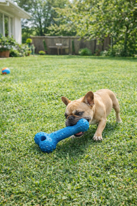 Beasty Extra Strong Reward Bone Large [2]