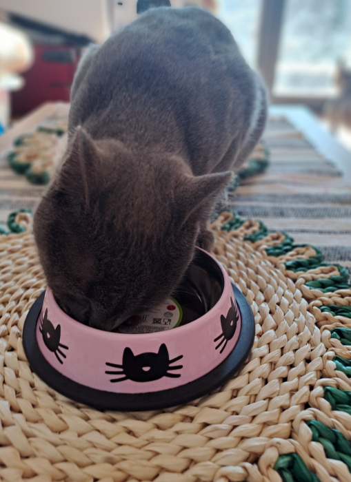 Bol metalic pentru pisici și căței mici, 235 ml [3]