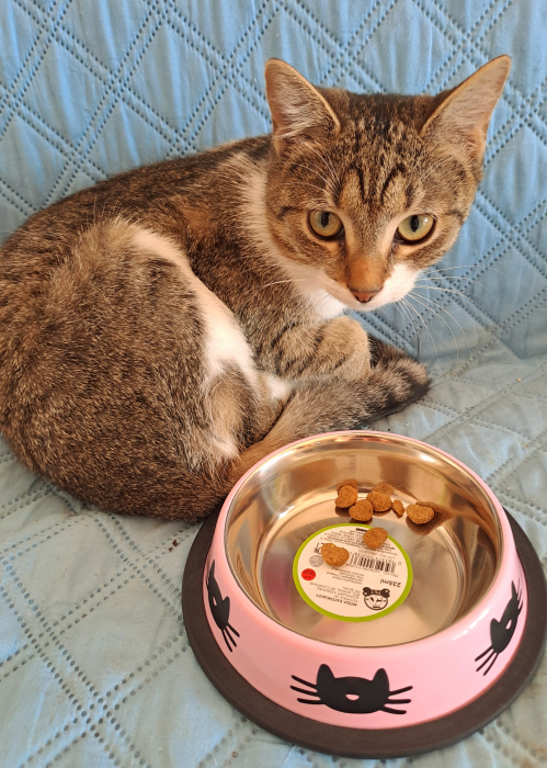 Bol metalic pentru pisici și căței mici, 235 ml [2]