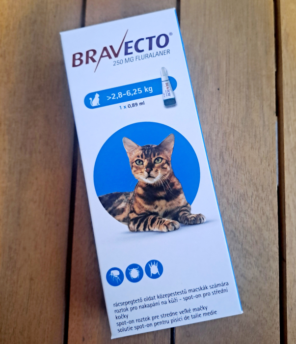 Bravecto Cat spot on 250 mg (2,8-6,25 kg) - o pipetă [3]
