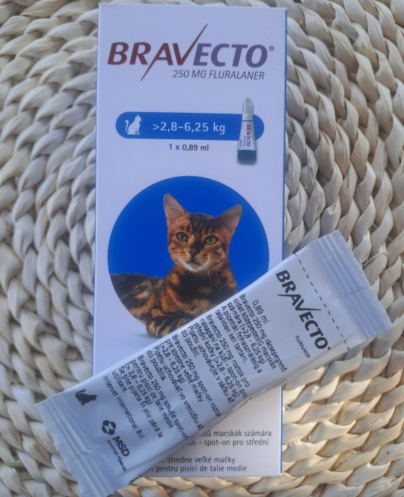 Bravecto Cat spot on 250 mg (2,8-6,25 kg) - o pipetă [2]