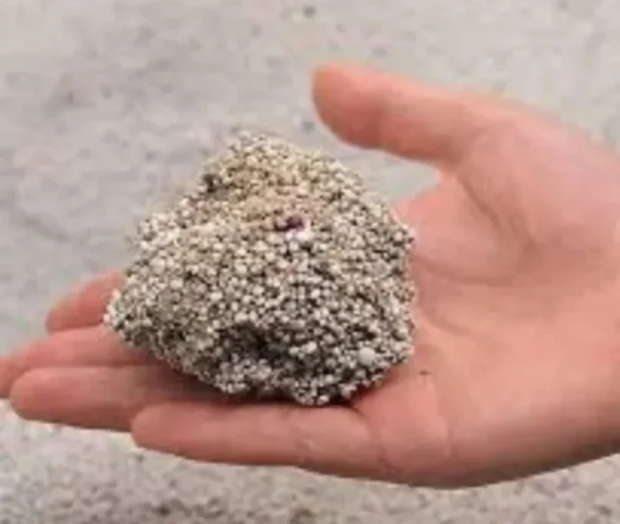 CATMANIA Bentonita Fresh, Asternut Litiera 5 L [3]