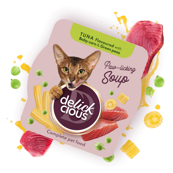 Delickcious. Supa de ton aromatizată cu porumb proaspăt și mazăre verde, 80 g [1]