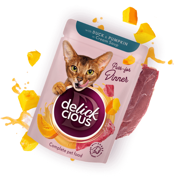 Delickcious. Rață și dovleac în supă cremoasă, 85 g. [1]