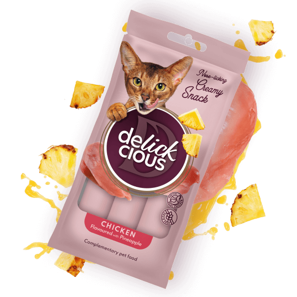 DELICKCIOUS, Recompense cremoase cu pui si ananas, 60g [1]