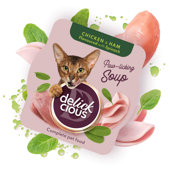Delickcious. Supa de pui cu șuncă și spanac, 80 g. [1]
