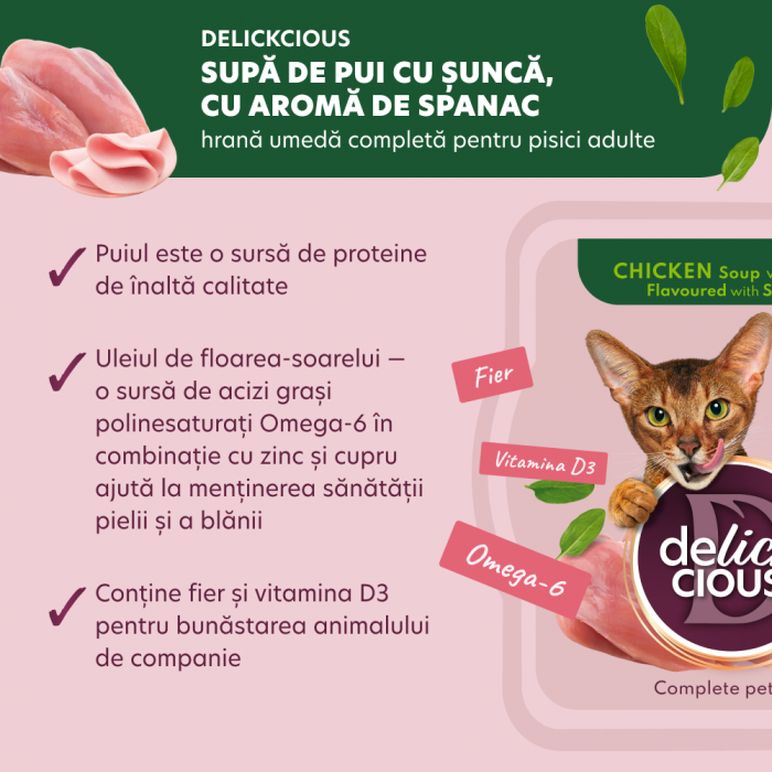 Delickcious. Supa de pui cu șuncă și spanac, 80 g. [5]