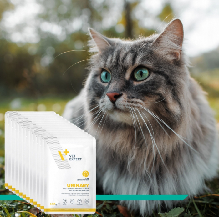 Dieta Veterinara Pisici Urinary Cat, 100 g [8]