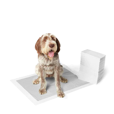 Essential Carbon Training Pads 45x60cm /10buc [3]