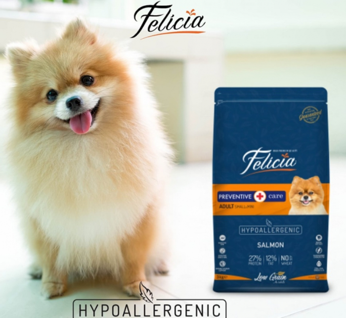 Felicia Hrana Caini Adulti Small-Mini Hipoalergenic Preventive-Care cu Somon 6kg [11]