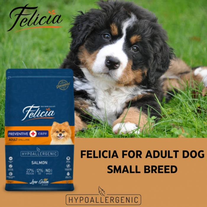 Felicia Hrana Caini Adulti Small-Mini Hipoalergenic Preventive-Care cu Somon 6kg [3]