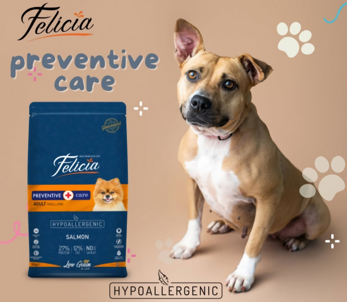 Felicia Hrana Caini Adulti Small-Mini Hipoalergenic Preventive-Care cu Somon 6kg [9]