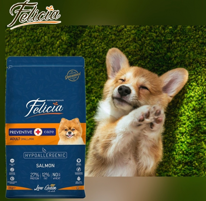 Felicia Hrana Caini Adulti Small-Mini Hipoalergenic Preventive-Care cu Somon 6kg [2]