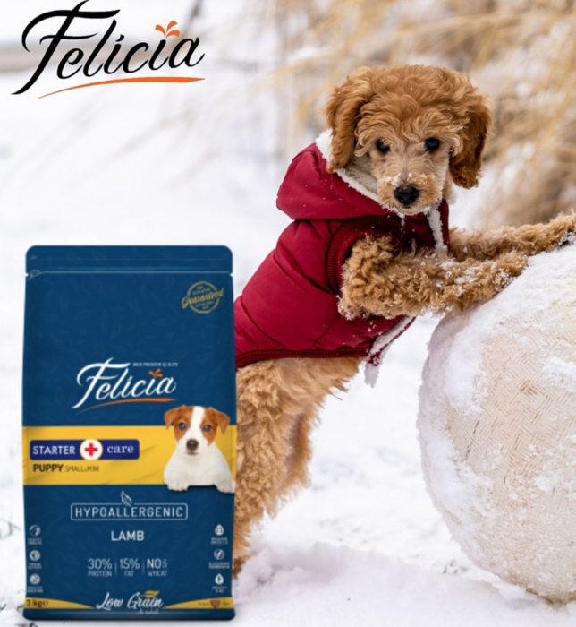 Felicia Hrana Caini Junior Small-Mini Hipoalergenic Starter-Care cu Miel 6Kg [6]
