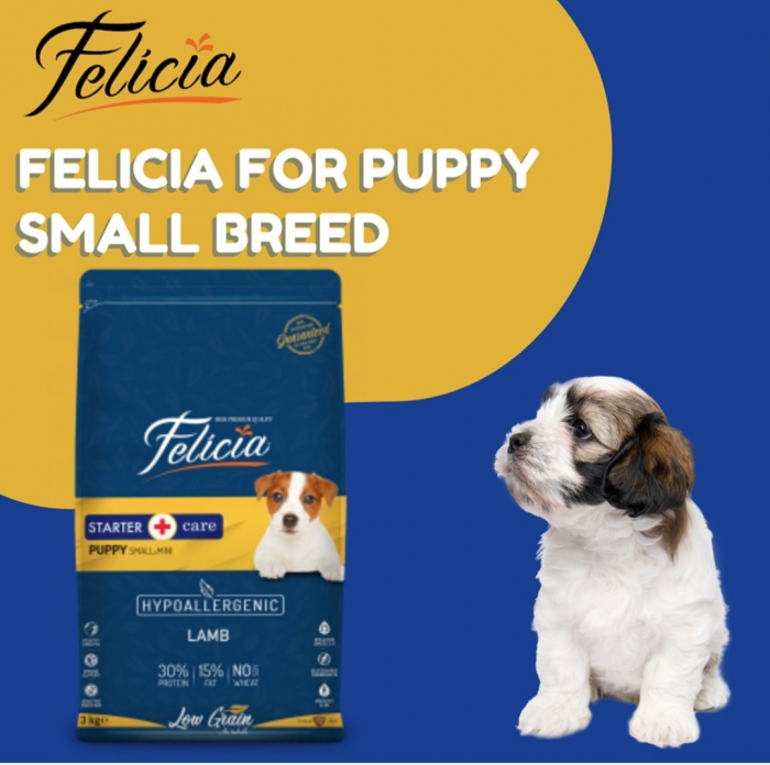 Felicia Hrana Caini Junior Small-Mini Hipoalergenic Starter-Care cu Miel 6Kg [7]